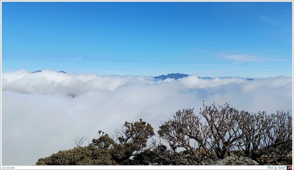S1131218雲團圍困的玉山【向陽山】.jpg