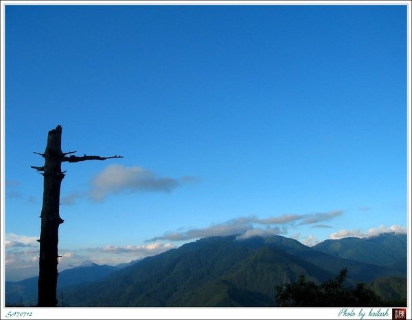 S970712刻劃歲月的枯木【梨山】.jpg