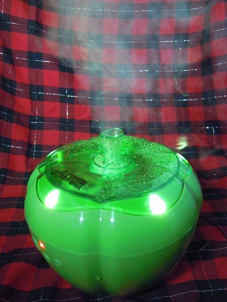 DSCN2813