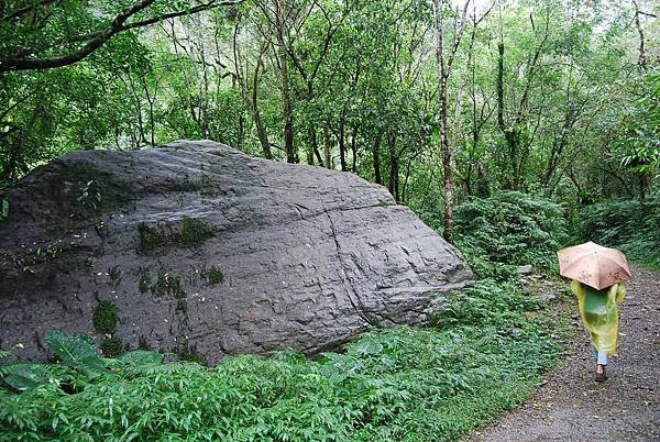 松羅國家步道 (97)