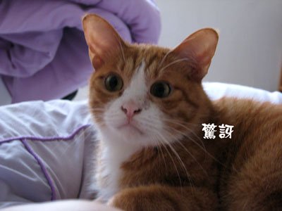 face_1.jpg