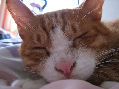 face_6.jpg