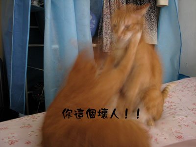 god_13.jpg