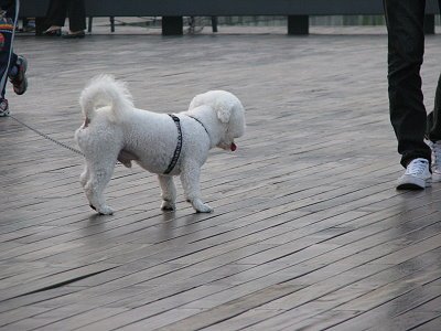 IMG_0757.jpg