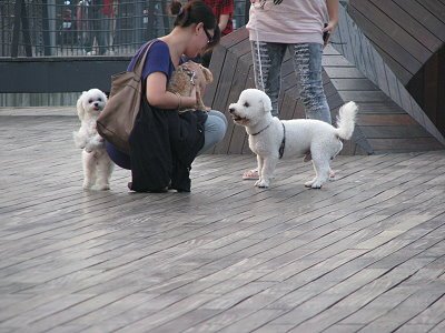 IMG_0764.jpg