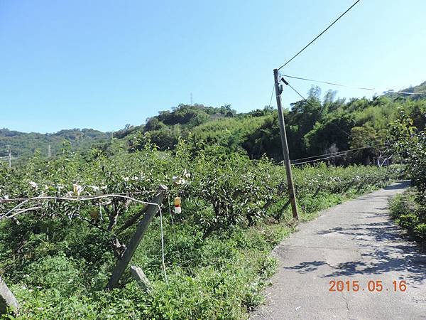 2通往滿鰲崎的路