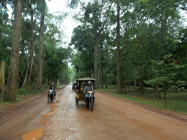 叢林道路