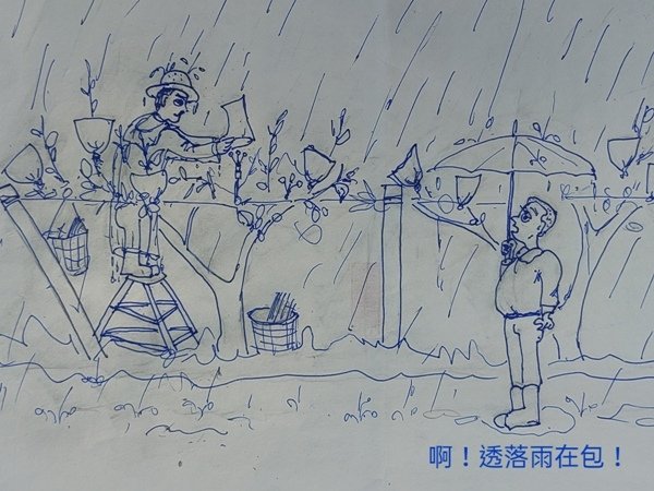 下雨包梨.jpg