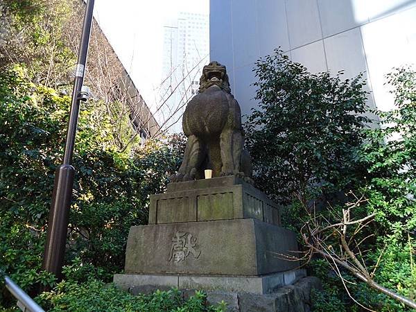 DSC06189 (复制).JPG