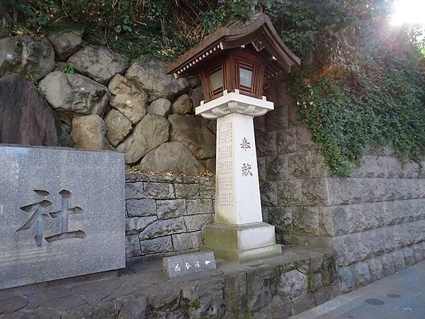 DSC06195 (复制).JPG