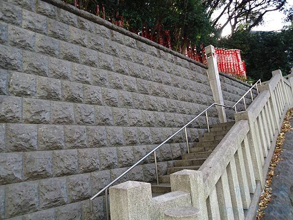DSC06197 (复制).JPG