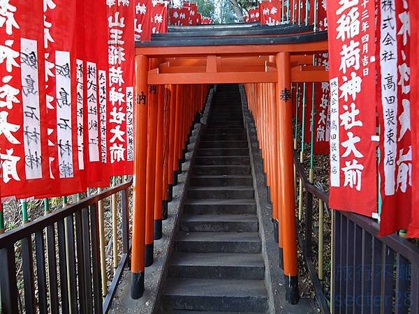 DSC06200 (复制).JPG