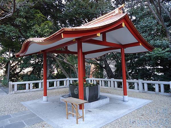 DSC06231 (复制).JPG