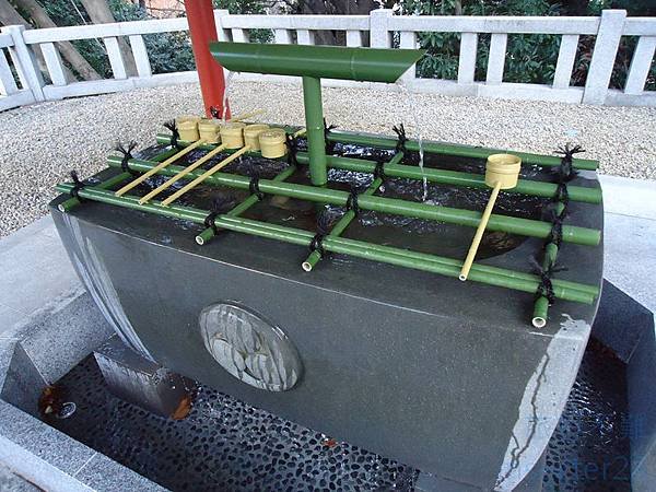 DSC06248 (复制).JPG