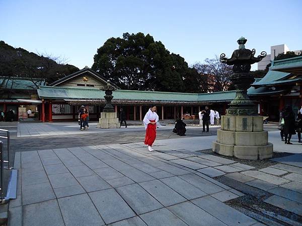 DSC06251 (复制).JPG