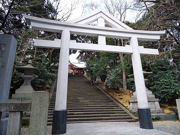 DSC06268 (复制).JPG