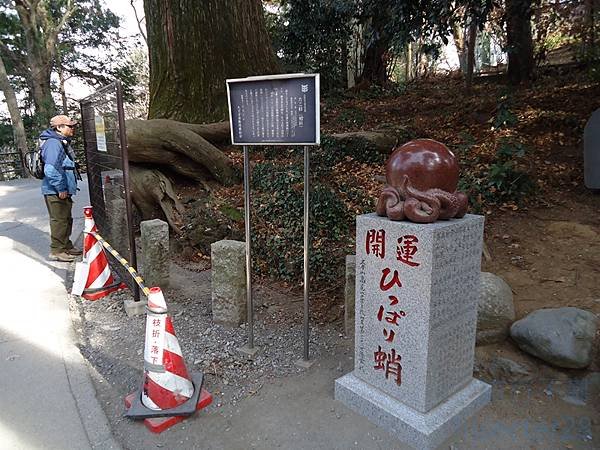DSC06954 (复制).JPG
