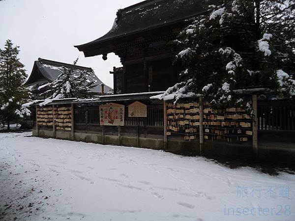 DSC07773 (复制).JPG