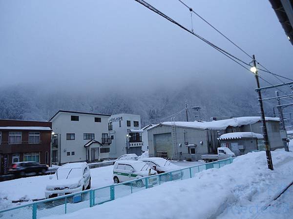 DSC07680 (复制)