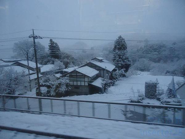 DSC07683 (复制)