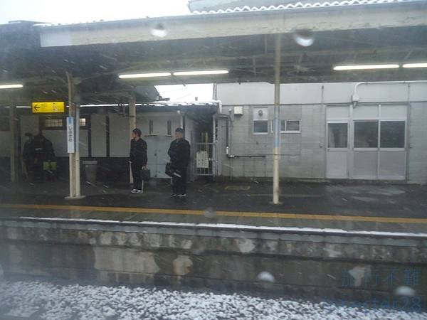 DSC07692 (复制)