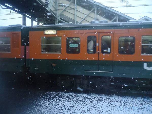 DSC07698 (复制)