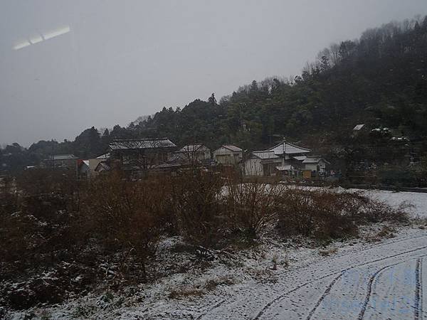 DSC07719 (复制)