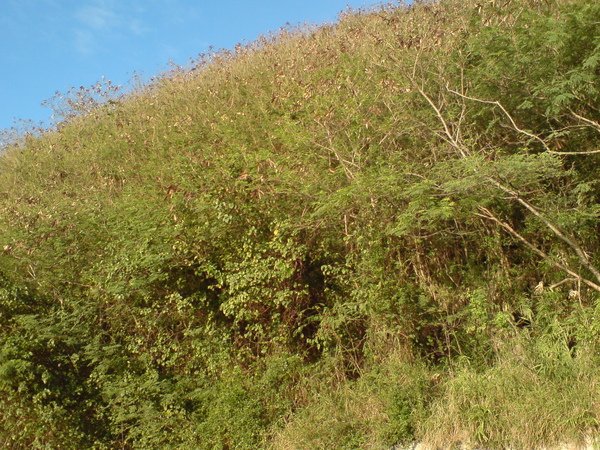 DSC02588.JPG