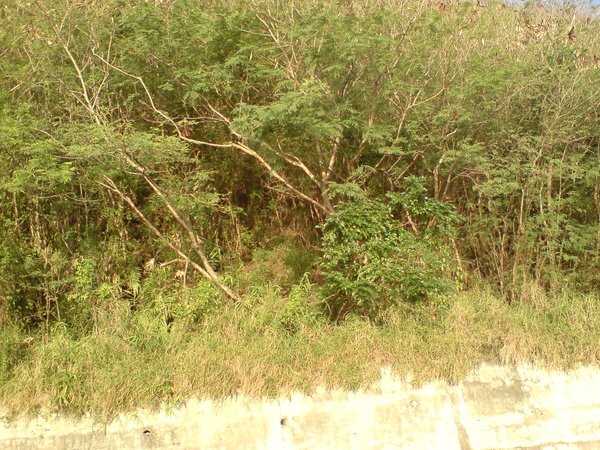 DSC02589.JPG