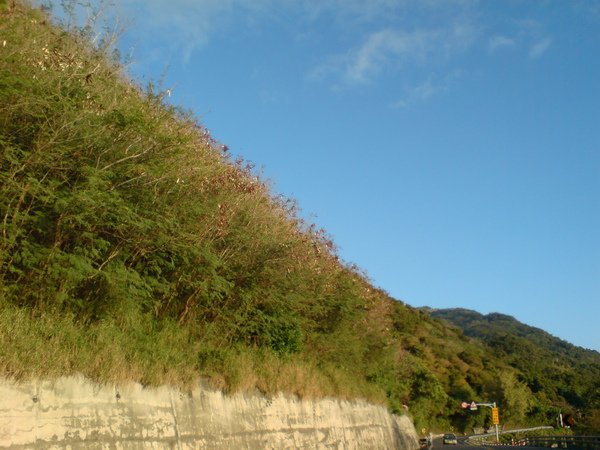 DSC02595.JPG