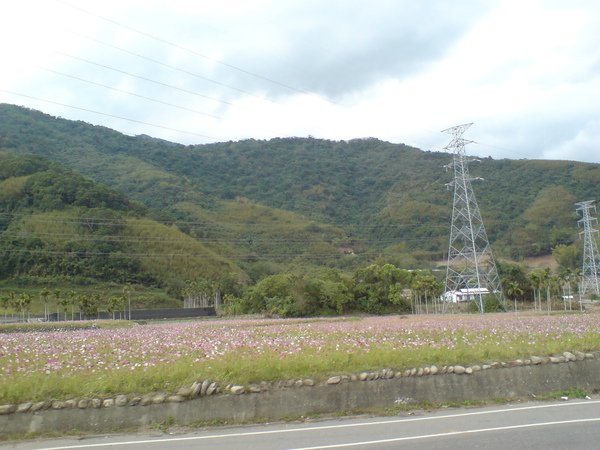 DSC02668.JPG