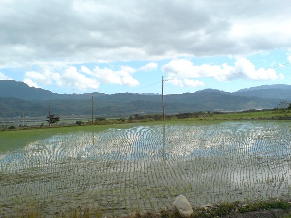 DSC02675.JPG