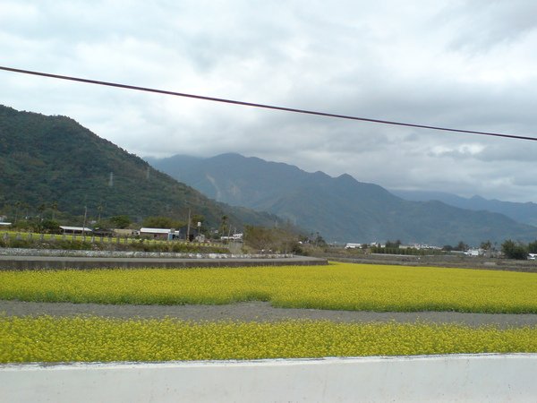 DSC02691.JPG