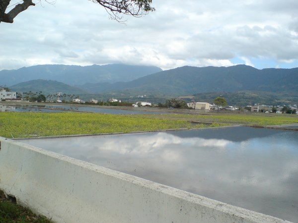 DSC02717.JPG