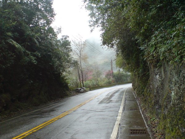 DSC03230.JPG