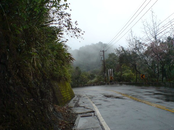 DSC03231.JPG