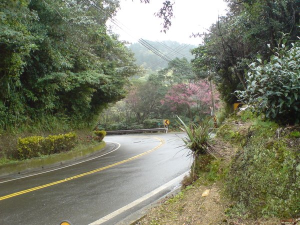 DSC03235.JPG
