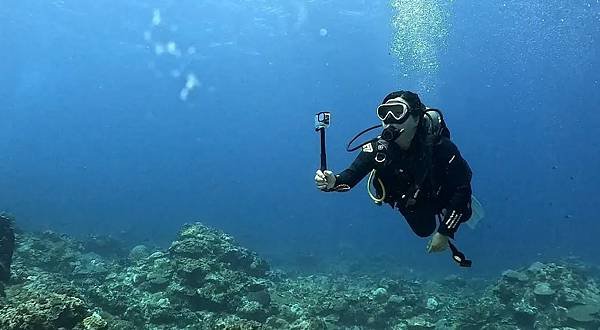 ．【潛水】20240909 綠島柴口潛水 - 看見海龜和小鯊