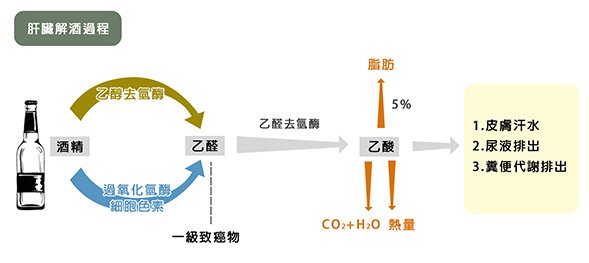 利九星 解酒 代謝 醒酒 暴斃 酗酒