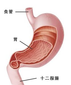 利九星 解酒 解宿醉 應酬 喝酒 酗酒 吐 護胃