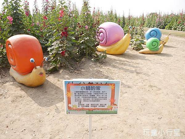 學甲蜀葵花小麥產業文化節21.JPG