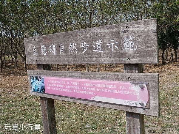 平後四林31.JPG