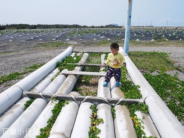 台西海口生活館13.JPG