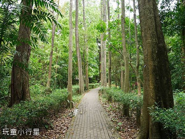 嘉義樹木園5.JPG