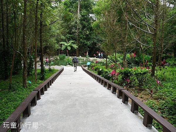 嘉義樹木園9.JPG