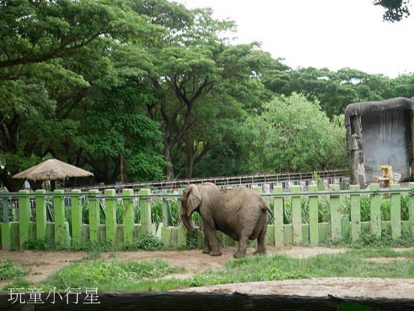 壽山動物園13.JPG