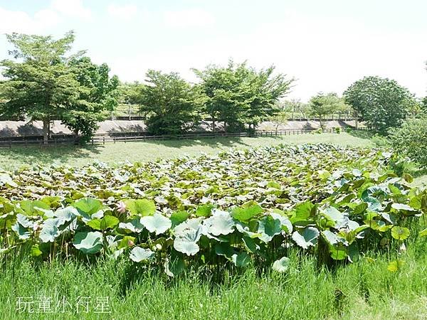 八掌溪親水公園10.JPG