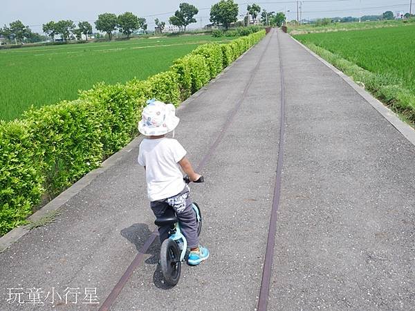 糖鐵自行車道天鵝湖後壁2.JPG