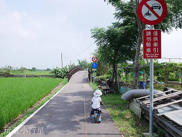 糖鐵自行車道天鵝湖後壁7.JPG