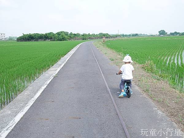 糖鐵自行車道天鵝湖後壁6.JPG